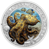 foto POLPO DAGLI ANELLI BLU