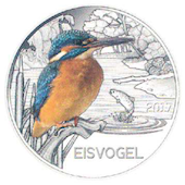 foto Martin Pescatore (3° emissione 2017)