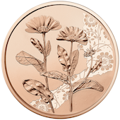 foto Austria 2022 - 10 euro Rame La Calendula